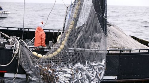 La industria pesquera argentina en alerta por su peor crisis de los últimos 10 años