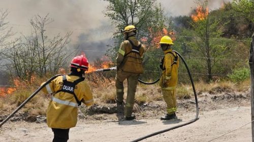 Incendios forestales en Calamuchita: el Gobierno de Córdoba declaró el estado de desastre