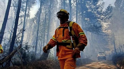 Contienen el incendio en Córdoba: hay un detenido y se realiza una guardia para controlar las cenizas