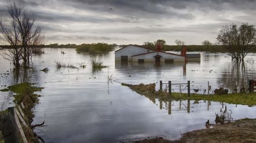 Varias regiones de Argentina corren riesgo por la suba del nivel del mar