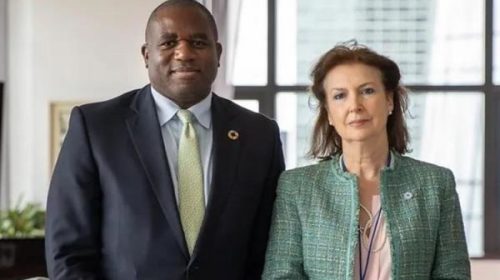 Denunciaron a Diana Mondino por el acuerdo con Reino Unido por los vuelos a las Islas Malvinas