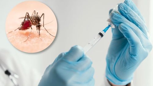 Lanzan la campaña de vacunación contra el dengue: qué grupo será el primero en recibir la dosis