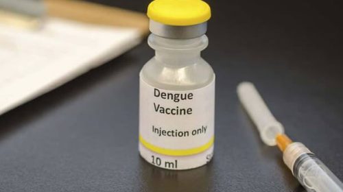Santa Fe comenzó a vacunar contra el dengue