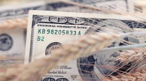 El campo entrerriano tuvo una ganancia de U$S 234 millones en la campaña 2023/2024