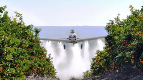 La presidenta de la FECIER detalló cómo se aplicarán «los tratamientos aéreos» que Frigerio se comprometió a flexibilizar