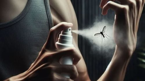 Dengue: alertan falta de repelentes en comercios