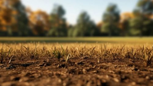 El campo entrerriano necesita “100 milímetros promedio de lluvias en octubre y noviembre”