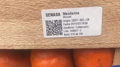Senasa refuerza la trazabilidad de frutas y hortalizas con nuevas etiquetas