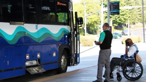 Transporte de larga distancia: una medida cautelar busca garantizar el acceso gratuito a personas con discapacidad Transporte de larga distancia: una medida cautelar busca garantizar el acceso gratuito a personas con discapacidad