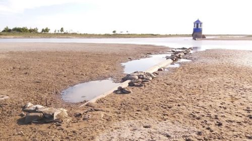 La provincia declara a Victoria en estado de emergencia hídrica y ambiental La provincia declara a Victoria en estado de emergencia hídrica y ambiental