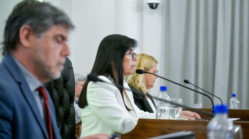 Frigerio quebró el bloqueo del PJ en el Senado y consiguió la adhesión al RIGI