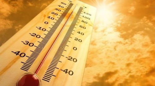 El enero de 2025 fue el más cálido de la historia