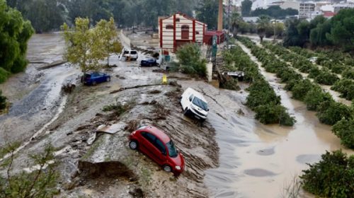 DANA en España: registran pérdidas de 816 millones de euros en la agricultura