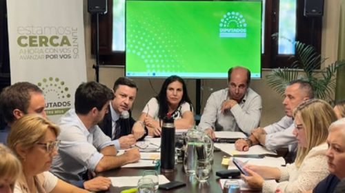 Finalizó el trabajo en comisiones sobre la reforma electoral