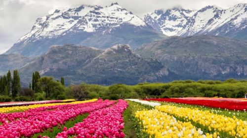 Cuatro pueblos argentinos fueron elegidos entre los mejores del mundo en una competencia de la ONU Cuatro pueblos argentinos fueron elegidos entre los mejores del mundo en una competencia de la ONU