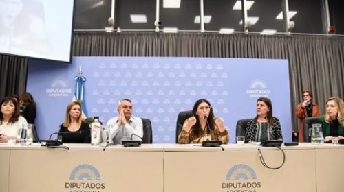 Debatirán en Diputados sobre los cambios a la Ley de Identidad de Género