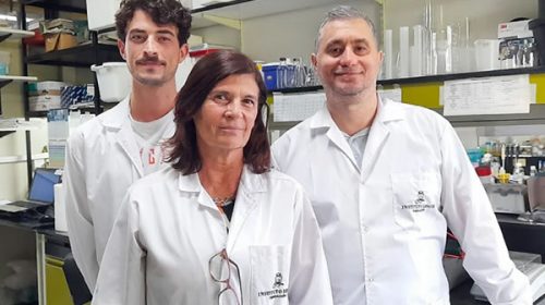 Un hallazgo de científicos argentinos podría ayudar a desarrollar una terapia para frenar el Alzheimer