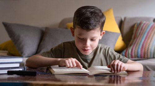 El 12% de los chicos entrerrianos no tiene libros en sus casas