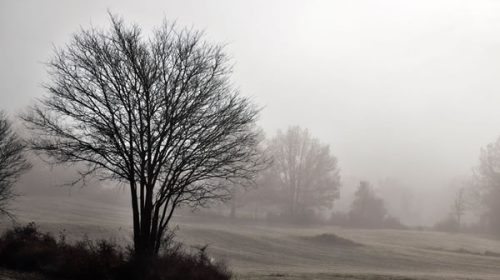 El pronóstico anuncia días grises en Entre Ríos