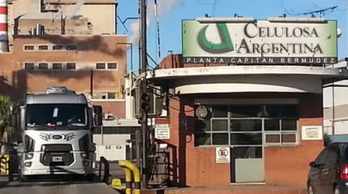 Celulosa paralizó sus plantas en plena crisis y aún no logró acordar con acreedores