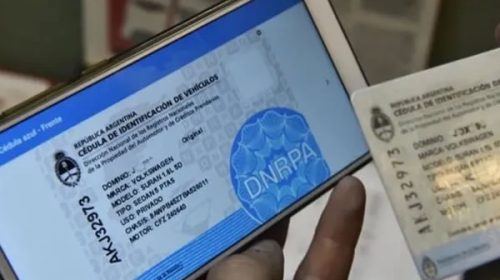 Licencia de conducir: implementan sistema de cédula digital para personas jurídicas en empresas
