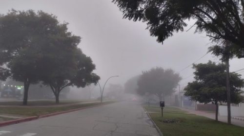 La provincia amaneció con una densa niebla y elevada humedad