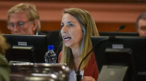 Proponen crear el Consejo Económico y Social de la Provincia para terminar de cumplir con la Constitución entrerriana