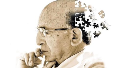 Científicos del CONICET reciben importante subsidio internacional para hallar tratamientos contra el Alzheimer