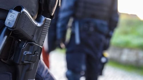 Actualizan el régimen de registro de armas para fuerzas de seguridad y personal retirado