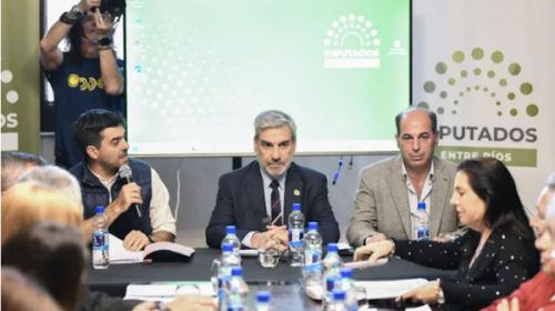 Reestructuración de deuda: “Necesitamos esta herramienta”, dijo Boleas en Diputados