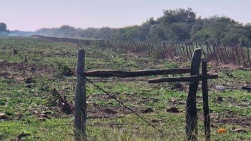 El STJ dispuso la regeneración de un bosque nativo en Villaguay para recomponer el daño