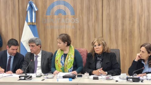 Controles a laboratorios de fentanilo: la Cámara de Diputados busca respuestas