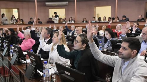 Diputados dio media sanción a los consorcios camineros rurales