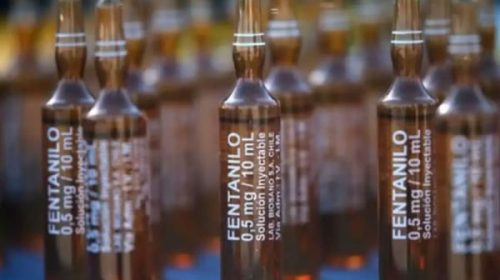 ANMAT desmintió que HLB Pharma esté autorizada a operar