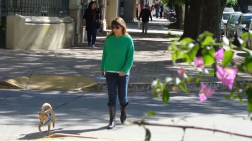 Anuncian que pronto llegarán nuevos vientos fríos
