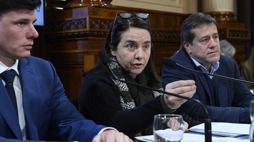«No creo que los niños tengan derecho a venir al Garrahan a ser curados»