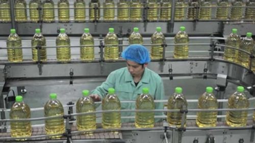 La actividad de la industria aceitera argentina cayó un 9% en julio
