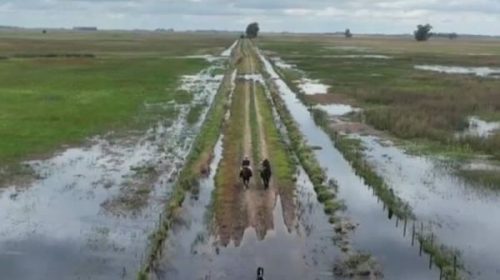 Declaran la emergencia agropecuaria en Buenos Aires y San Juan