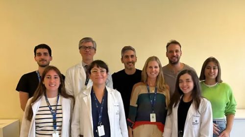 La molécula que protege el hígado de la hepatitis fulminante: el descubrimiento de científicos argentinos que revoluciona la salud