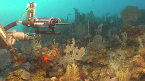La expedición del CONICET que descubrió “la estrella culona” ahora se dirige a Río Negro y Chubut