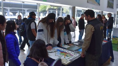 Comenzó la Feria Provincial del Libro en Concordia