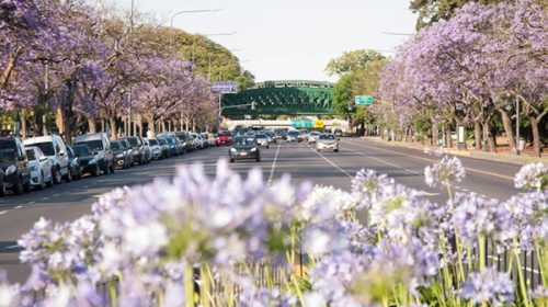 Pronostican temperaturas más altas y contrastes en las precipitaciones para esta primavera