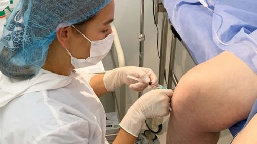 Avanza en Argentina una innovadora terapia para regenerar huesos a partir de células del cordón umbilical