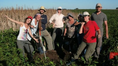 Panorama crítico en la Facultad de Agronomía de la UBA: en dos años perdió casi el 15% de su planta docente Panorama crítico en la Facultad de Agronomía de la UBA: en dos años perdió casi el 15% de su planta docente