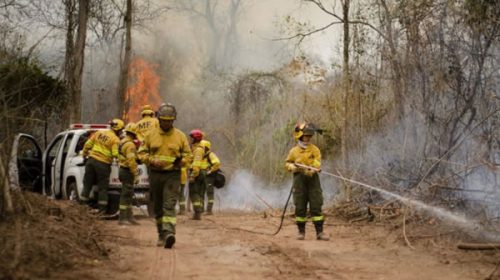 Intensas tareas contra los incendios forestales en el norte de Salta