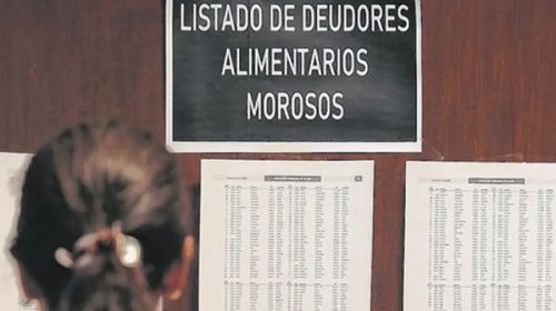Diputados dio impulso al proyecto que propone excluir a deudores alimentarios de espectáculos deportivos