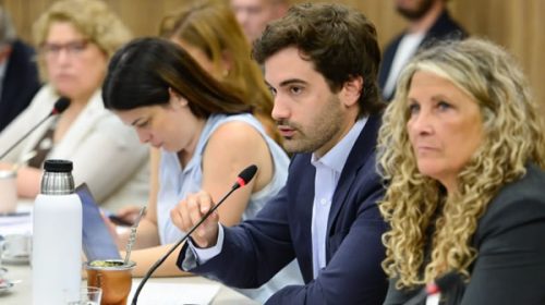 Acuerdo comercial con Estados Unidos: críticas en Diputados por impacto en la industria