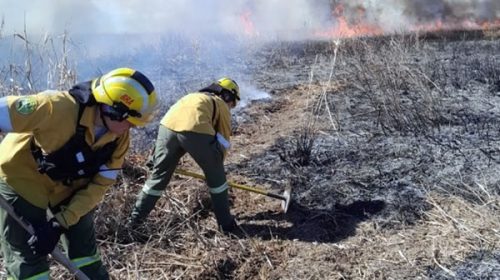 Entre Ríos prohíbe todas las quemas entre diciembre y febrero para prevenir incendios