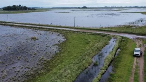 Inundaciones en Buenos Aires: 6 millones de hectáreas afectadas y un impacto económico de USD 2.000 millones Inundaciones en Buenos Aires: 6 millones de hectáreas afectadas y un impacto económico de USD 2.000 millones
