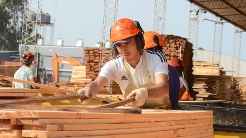 Crisis en la industria forestal: alertan por el cierre de pymes y piden medidas de incentivo Crisis en la industria forestal: alertan por el cierre de pymes y piden medidas de incentivo